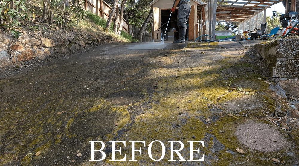 Before pressure cleaning, moss and buildup cover a concrete path.